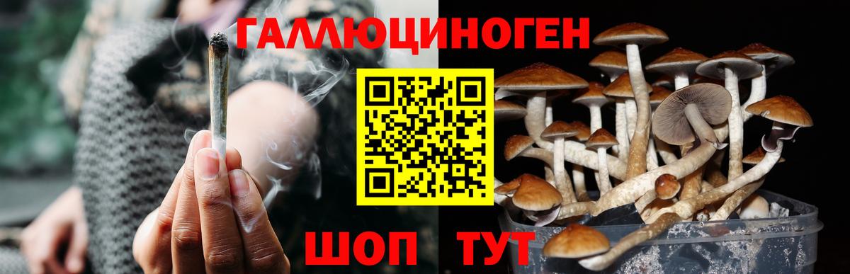 Галлюциногенные грибы Psilocybine cubensis  Вход с VPN  Арсеньев 