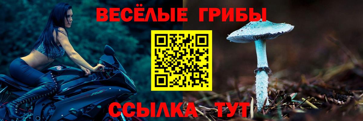 Галлюциногенные грибы мухоморы Арсеньев